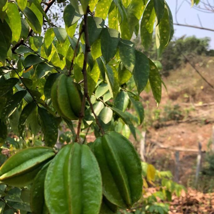 Lobville Homestay 카르자트 외부 사진
